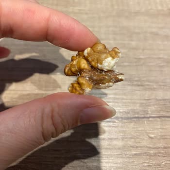 A101 Çerezya Marka Çerezleri Hk. Bayat Ve Böcekli