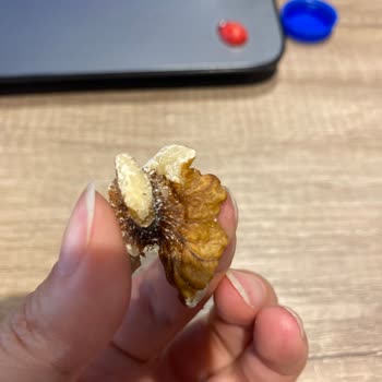 A101 Çerezya Marka Çerezleri Hk. Bayat Ve Böcekli