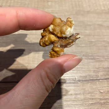 A101 Çerezya Marka Çerezleri Hk. Bayat Ve Böcekli