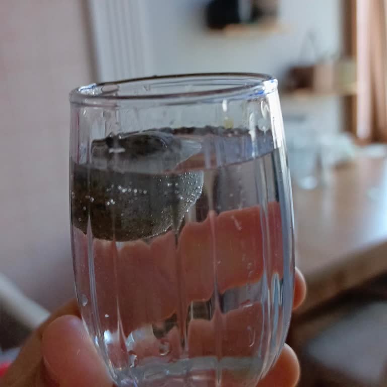 Şok Marketler Bayat Bıldırcın Yumurtası