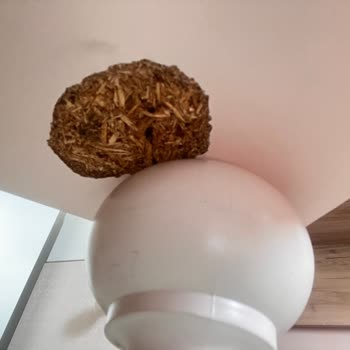 Alfemo Çocuk Odası Çocuklarımızın Güvenliğini Hiçe Sayıyor