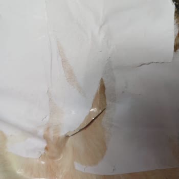 Amazon Patlak Paket Proline Köpek Maması