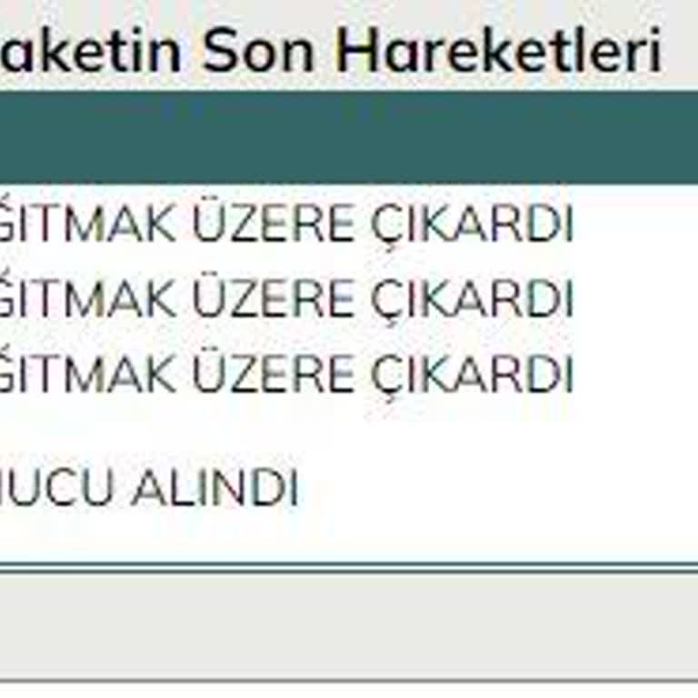 UPS Türkiye Gününde Evrak Teslimi Yapamıyor