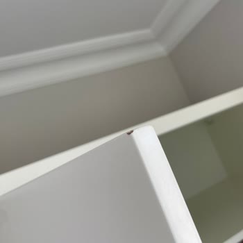 Sambesx Mobilya Vaat Ettiği Ürünleri Hazırlamadı