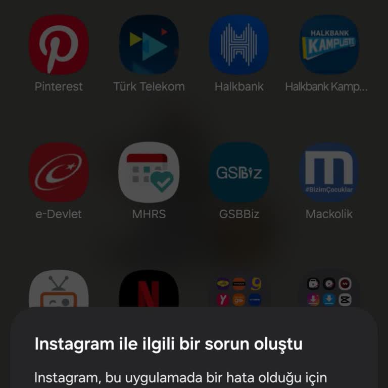 Samsung Telefon Instagram Uygulaması Hata Veriyor