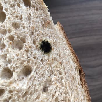 Marmara Forum Carrefour SA Fırın Küflü Ekmek