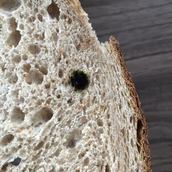 Marmara Forum Carrefour SA Fırın Küflü Ekmek
