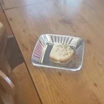 Polatlı Köfteci Yusuf'ta Hijyen Sorunu Ve Sinek İstilası