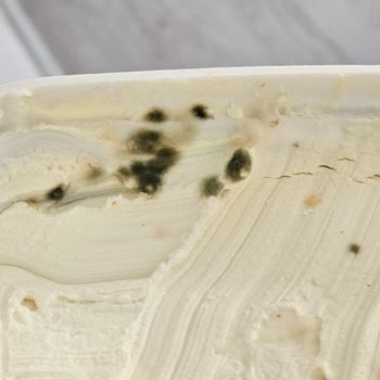 Pınar Et ve Süt Labne Peynirinin Küflenme Sorunu