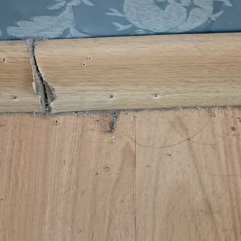 Erzurum Öğretmenevinin Kirliliği.