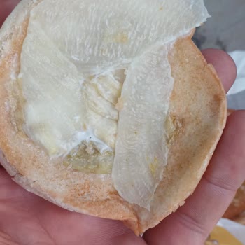 Burger King Bozuk Yeşillik Aqua Florya