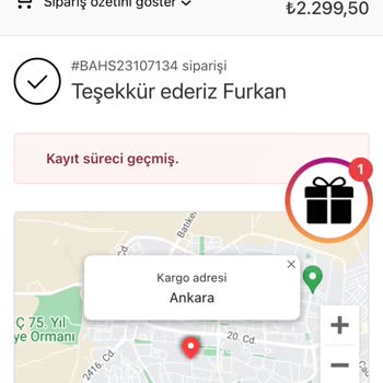 Bahs (Bahsbar) Bahs Öğün Tozu