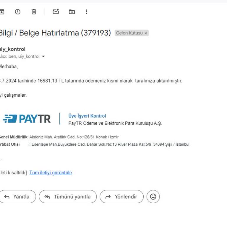 PayTR Ödemelerimde Yaşadığım Sorunlar