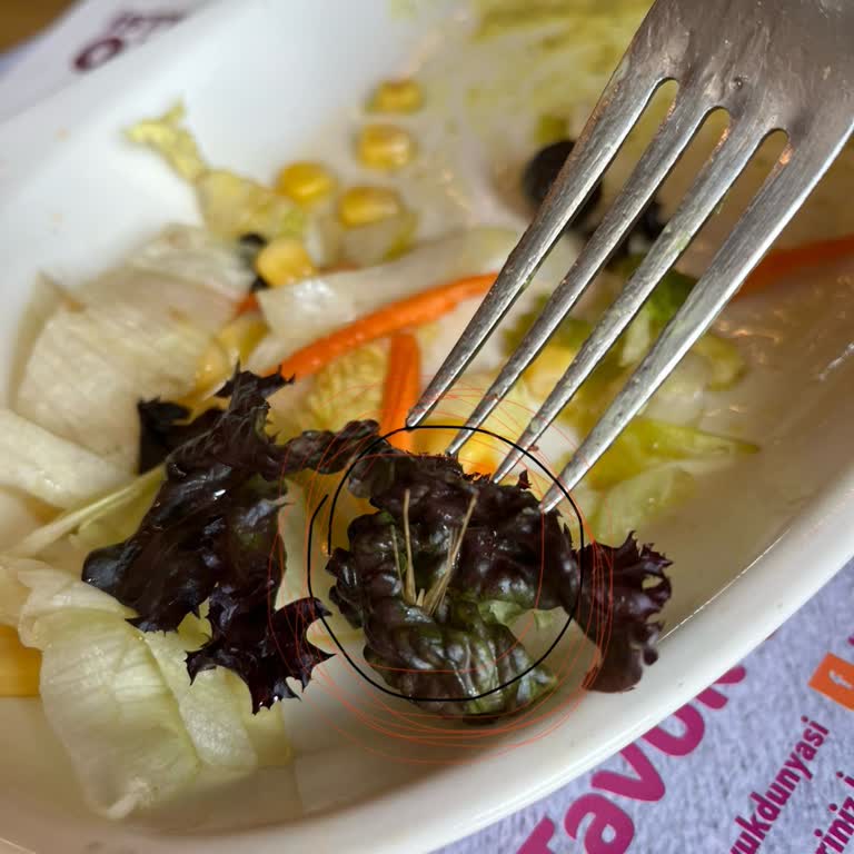 Tavuk Dünyası Çürük Salata Problemi
