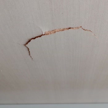 Bafra Bellona Ceylanlar Mobilya