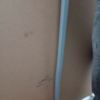 Bafra Bellona Ceylanlar Mobilya