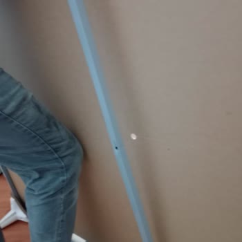Bafra Bellona Ceylanlar Mobilya