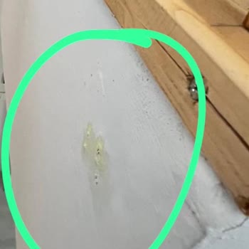 Anadolu Sigorta Konut Sigortası Zarar Karşılamaması