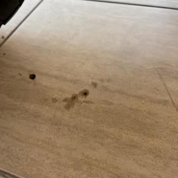 Uçar Motor Servis Beceriksizliği! Ulaşılamayan Telefon...