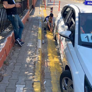 Milli Eğitim Bakanlığı (MEB) Direksiyon Sınavı Ehliyet