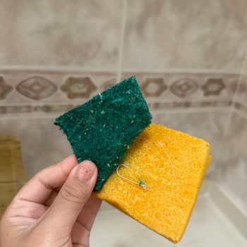 Mr. Green Sünger İçinde Olta İğnesi