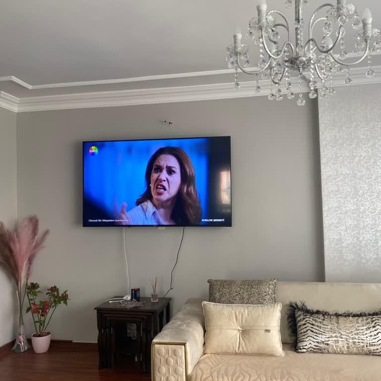 Vestel Teknik Servis Mağduriyeti