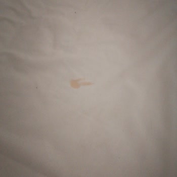 Euphoria Comfort Beach Alanya Temızlık Yok. Ilgı Alaka Yok.