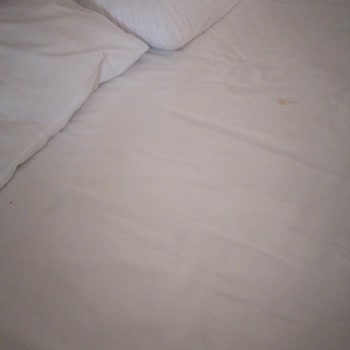 Euphoria Comfort Beach Alanya Temızlık Yok. Ilgı Alaka Yok.