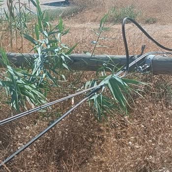 Küçükköy Belediyesi Sarımsaklı Sahili 30 Gündür İnternet Hattımız Kesik