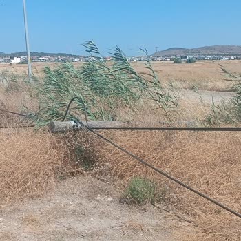 Küçükköy Belediyesi Sarımsaklı Sahili 30 Gündür İnternet Hattımız Kesik