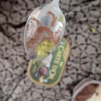 Carte d'Or Böcekli Dondurma A