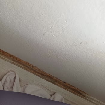 Vestel Klima Montaj Sorunu Ve Su Sızıntısı