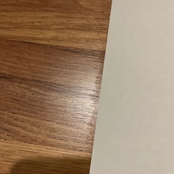 Avokado Konsept Umursamazlığı Ve Ulaşılamıyor Olması