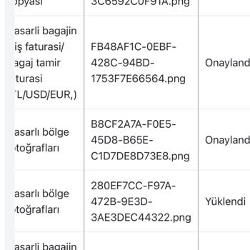 Türk Hava Yolları Şikayet