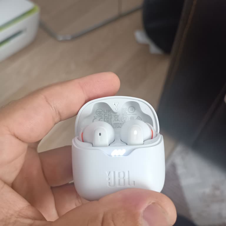 JBL Tune Flex Şarj Olmuyor