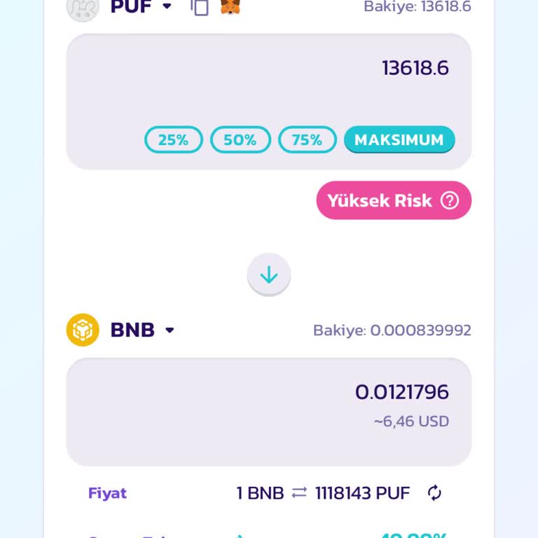 Binance Pancakeswap Puf Coin Satamama Sorunu