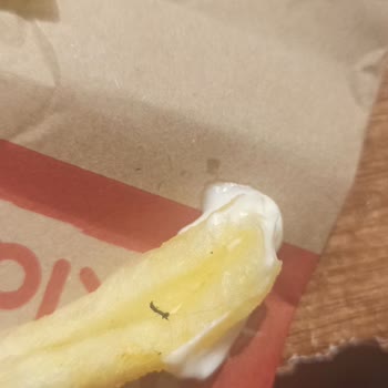 Popeyes Patateste Saç Çıktı