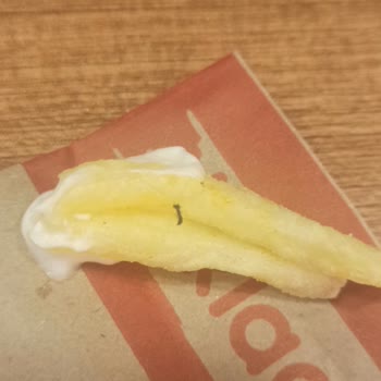 Popeyes Patateste Saç Çıktı