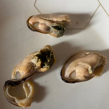 Metro Grossmarket Dondurulmuş İç Midye Pislik Dolu!