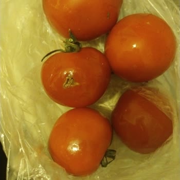 Şok Marketler Şok Marketin Siparişlere Gösterdiği Özen 😡 Sürekli Eksik Ezik Bozuk