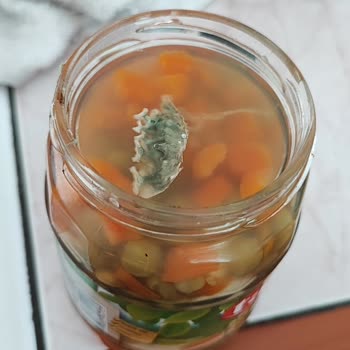 Tat Garnitür İçerisinden Tuhaf Bir Şey Çıktı!