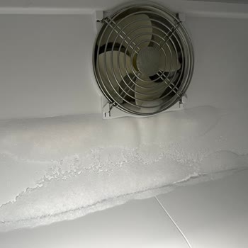 Vestel Fan Bölümü Buzlanması Çözülemiyor