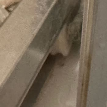 Kale Banyo Yedek Parça İlgisizliği