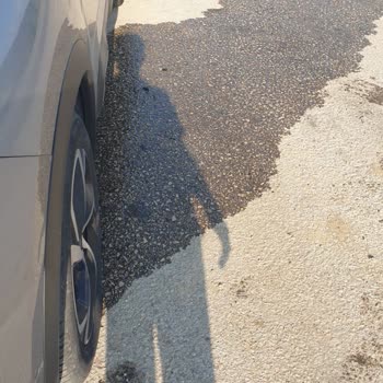 Citroen Servis Kalitesizliği İnsan Hayatına Kastediyorlar