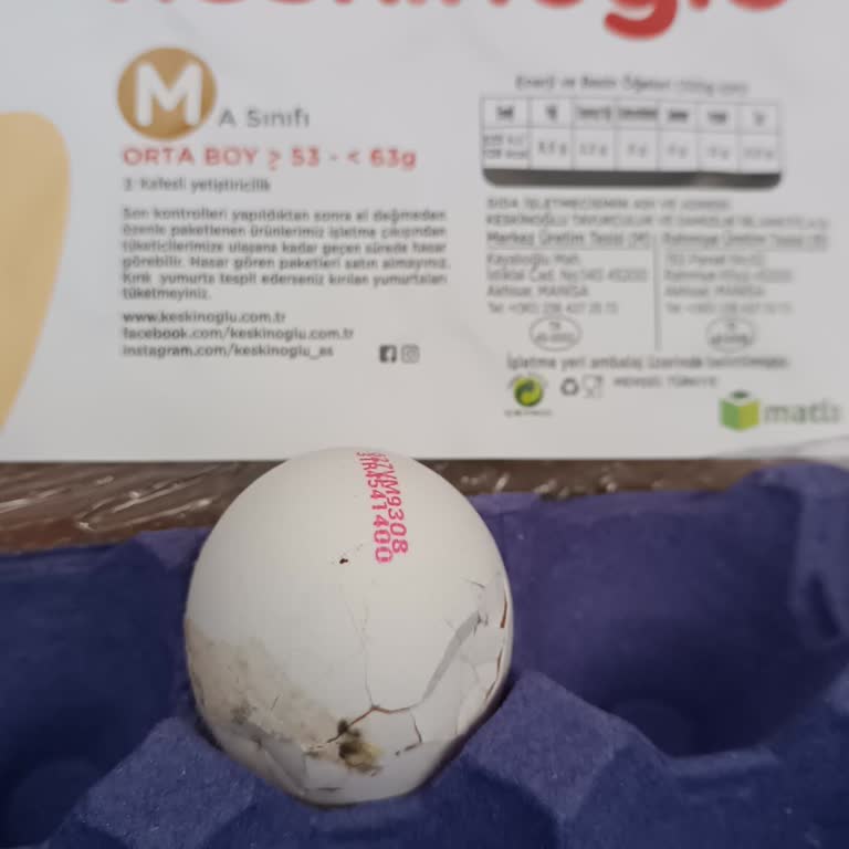 Keskinoğlu Kırık Yumurta Sorunu