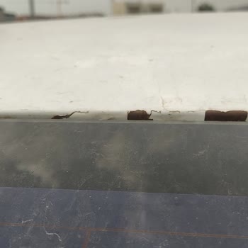 Honda Civic Boya Dökülmesi Sorunu