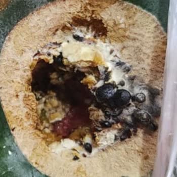 A101 Kapıda Böcekli Karpuz