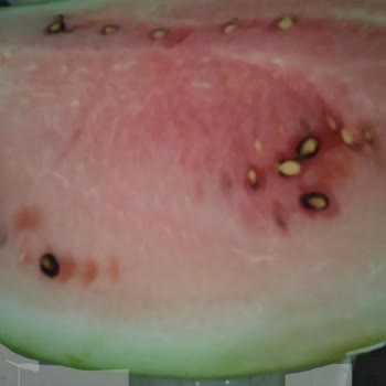 Gimsa'da Kötü Alışveriş Ve İade Problemi