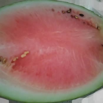 Gimsa'da Kötü Alışveriş Ve İade Problemi