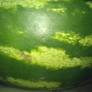 Gimsa'da Kötü Alışveriş Ve İade Problemi